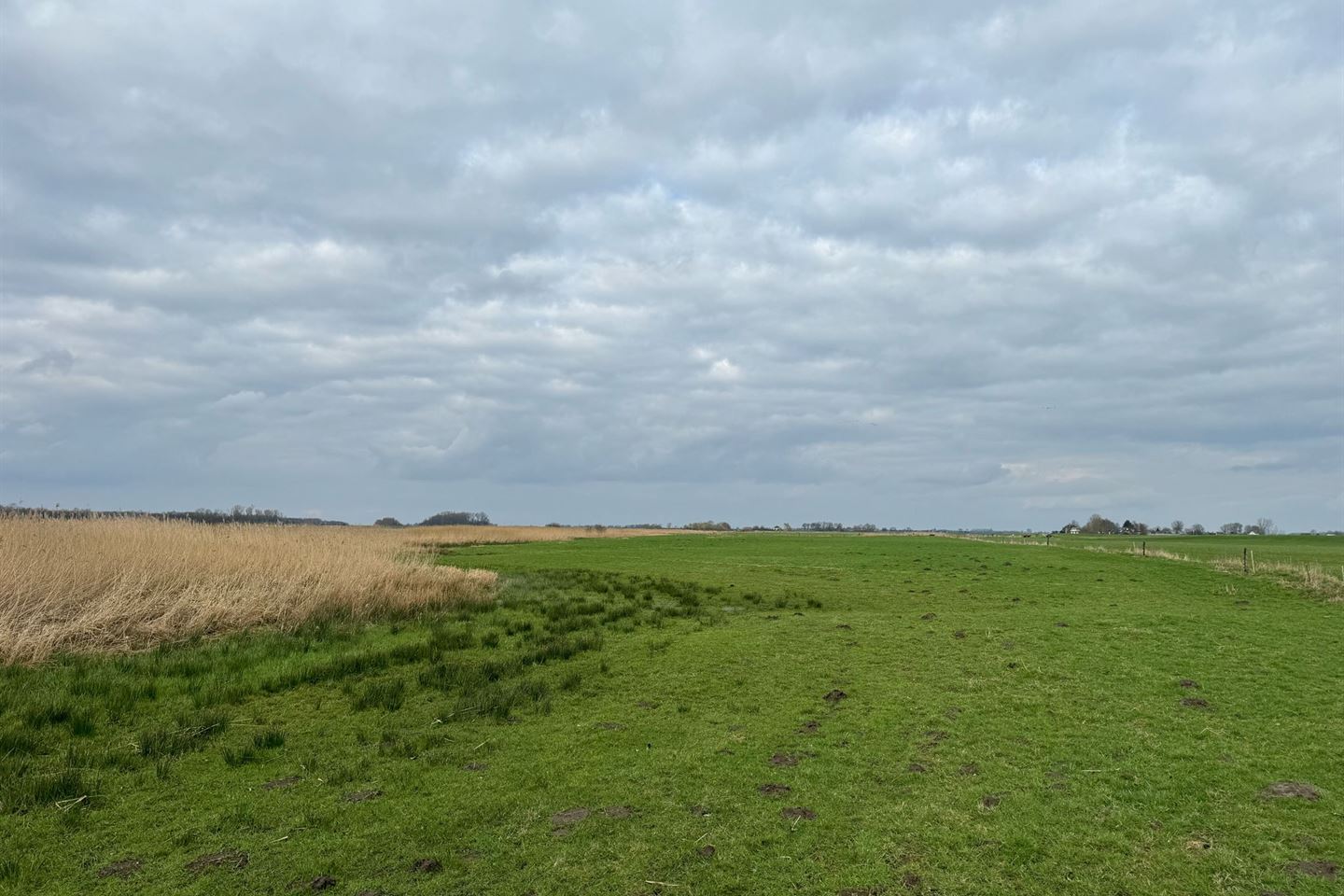 Bekijk foto 2 van Zomerdijk