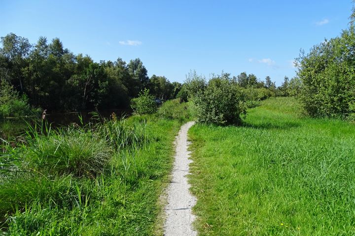 Bekijk foto 49 van Grindweg 188