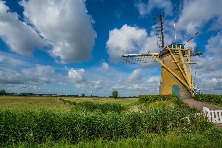 Bekijk foto 77 van Pruimendijk 28