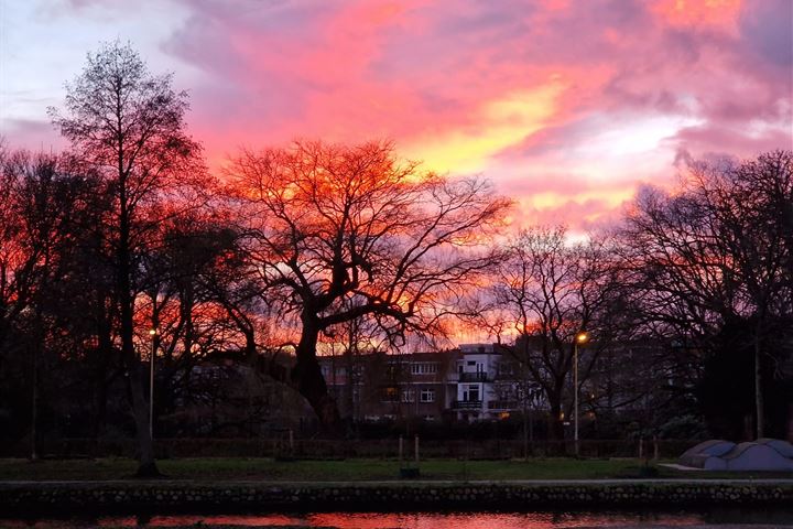 Bekijk foto 38 van Zodiakplein 122