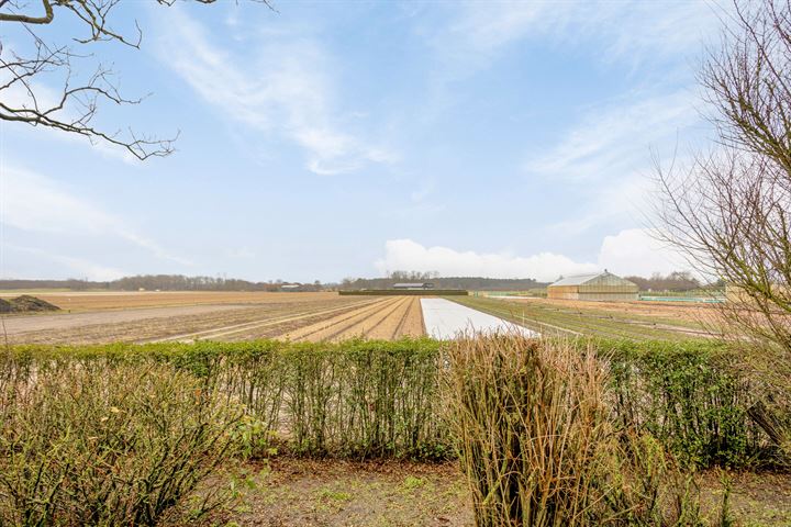 View photo 26 of Hoogeweg 14