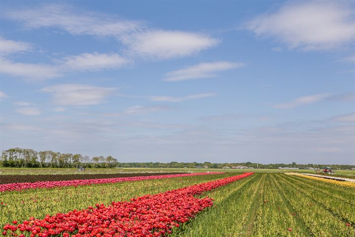 View photo 33 of Hoogeweg 14