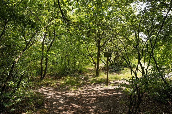 Bekijk foto 59 van Lage Vuurscheweg 27