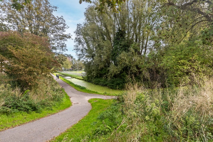 Bekijk foto 35 van Daal en Bergselaan 44