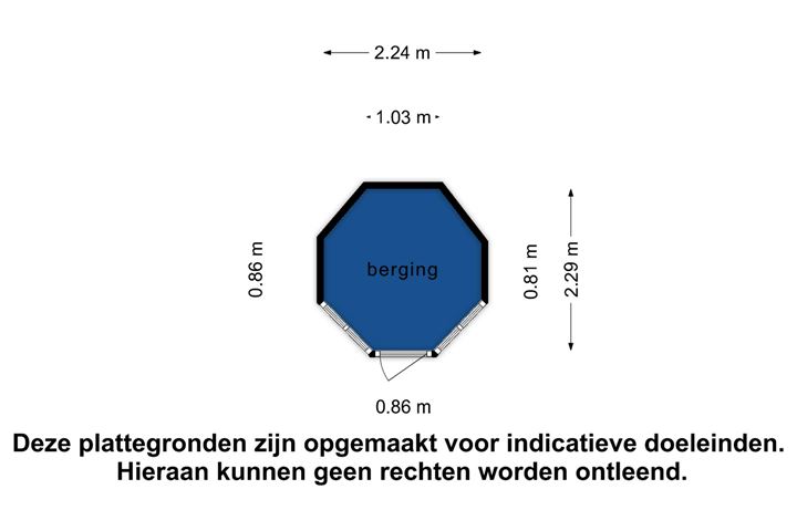 Bekijk foto 50 van Oesterzwam 1