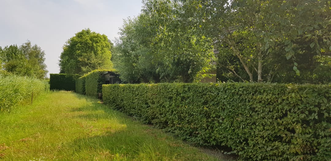 Foto 31 van Nijverheidsweg 8