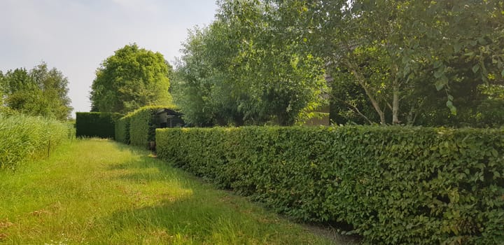 Foto 31 van Nijverheidsweg 8