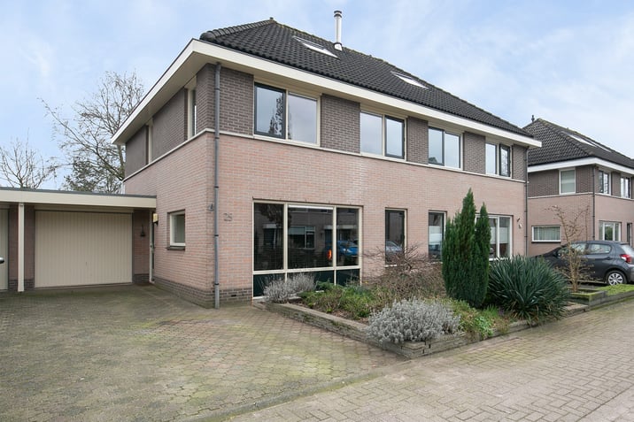 undefined main image