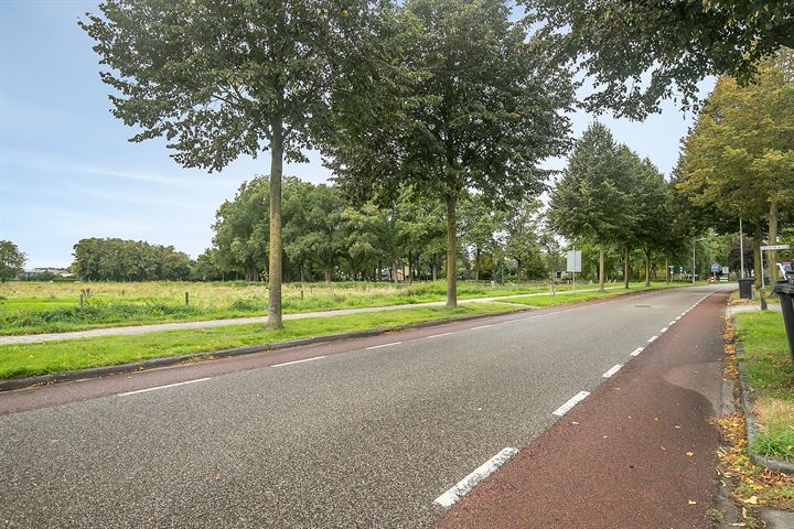 Bekijk foto 39 van Paalhaarsstraat 12