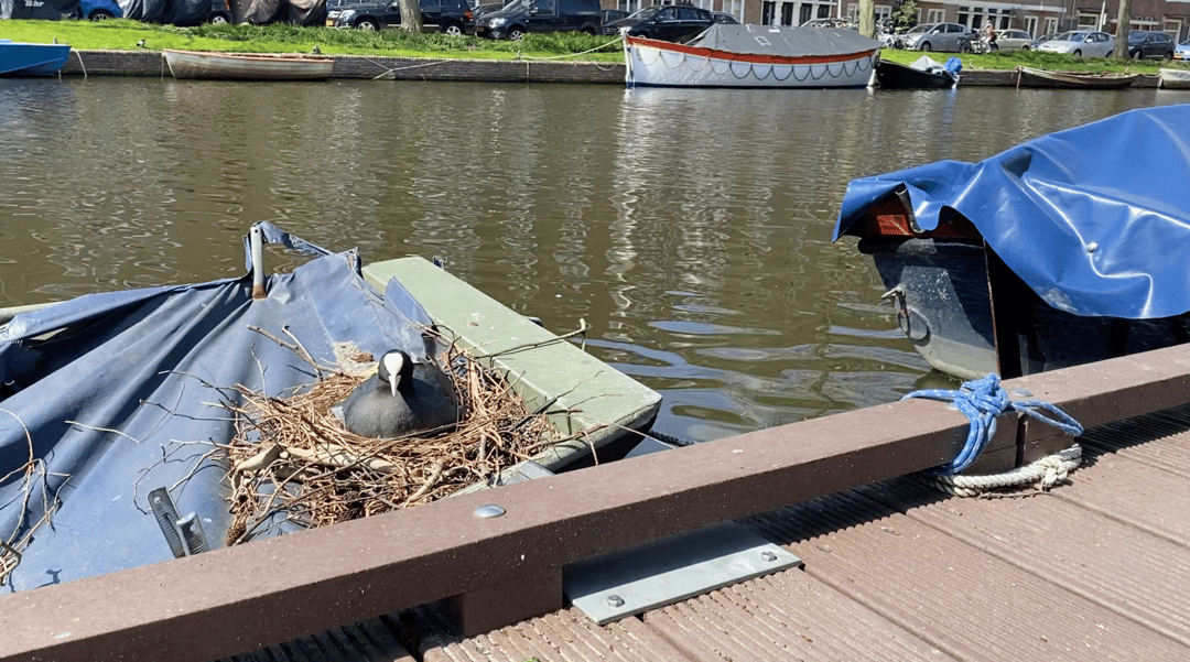 Foto 37 van Admiralengracht 309-II