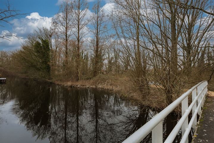 Bekijk foto 59 van Wegelingpark 32