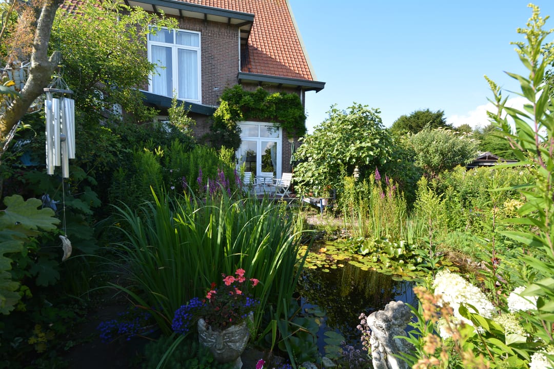 Photo 7 of Voorstraat 58