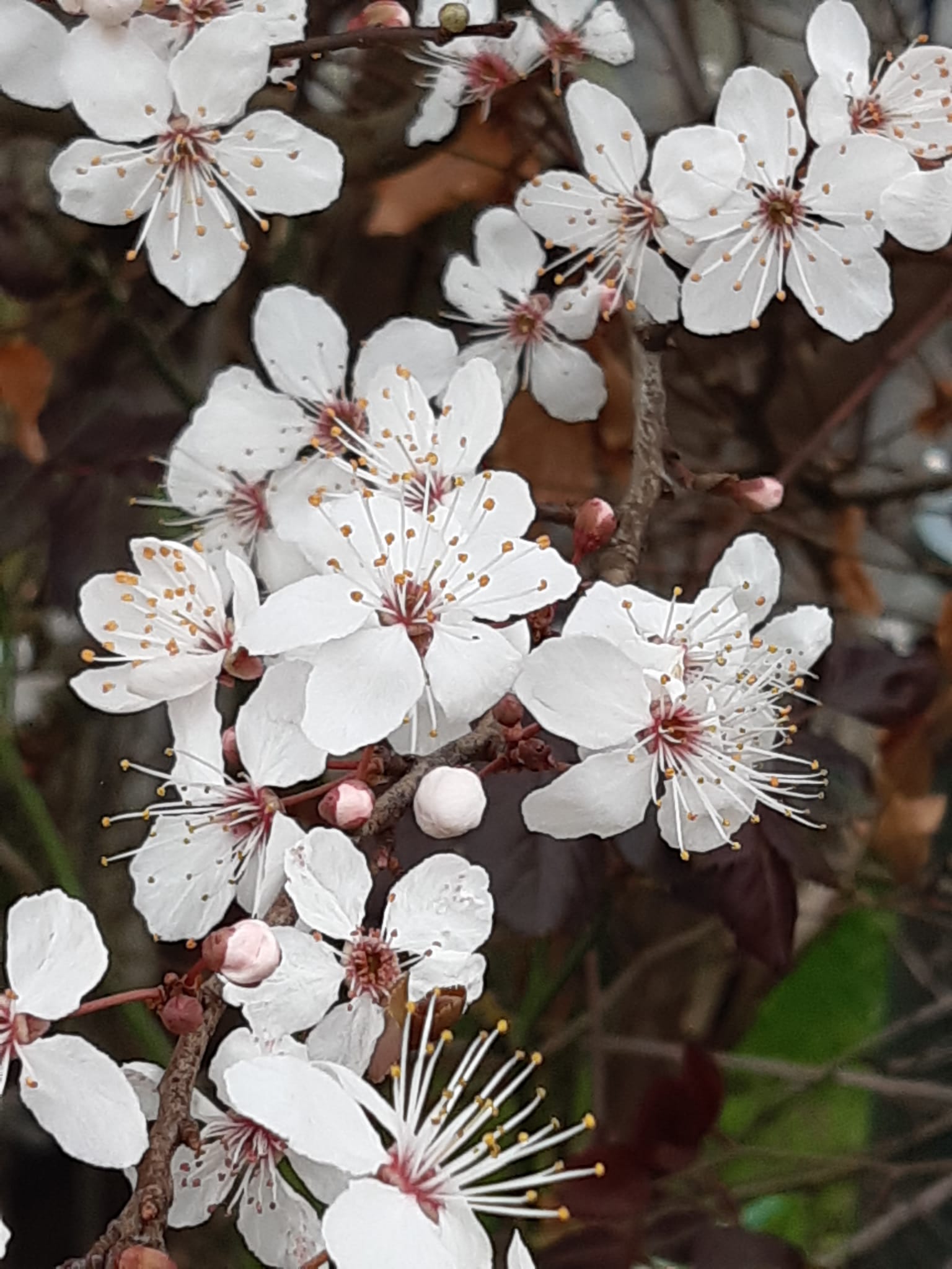 Foto 51 van Voorstraat 58