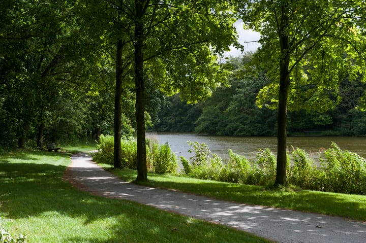 Foto 33 van Emmapark 12