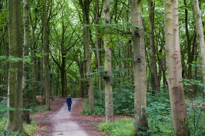 Foto 34 van Emmapark 12