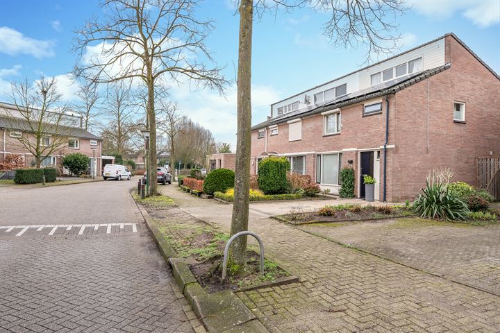 Bekijk foto 39 van Ganseboom 16