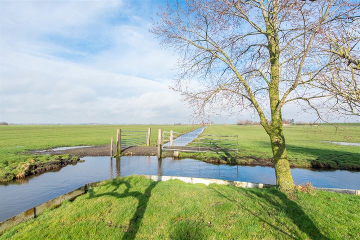 Bekijk foto 31 van Hoogedijk 49