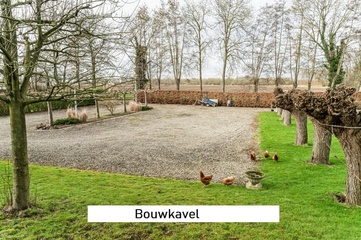 Photo 4 of Buitendijk