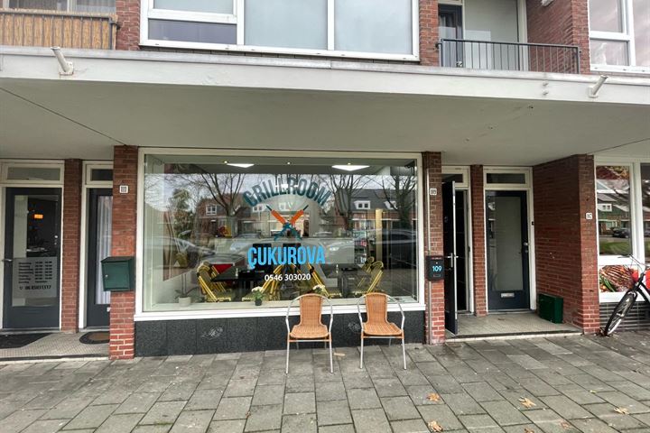 Deldensestraat 109, Almelo