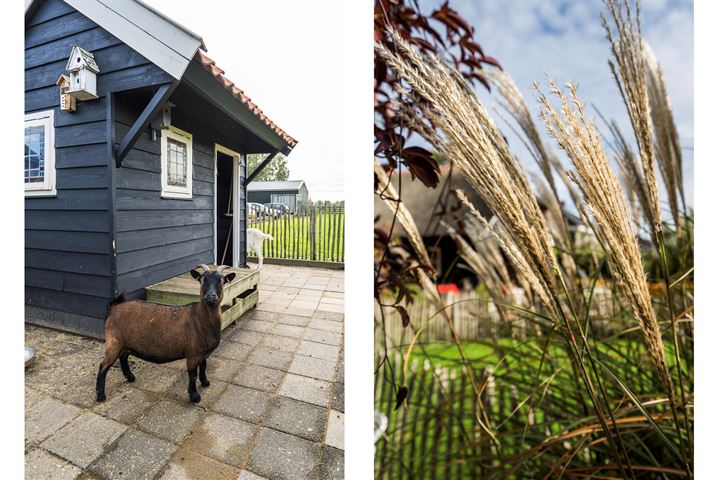 Bekijk foto 60 van Vogelzangsekade 11