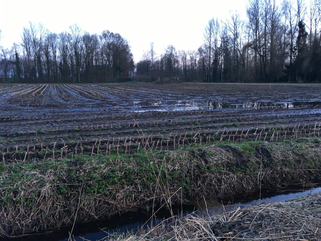 Bekijk foto 3 van Ollandseweg