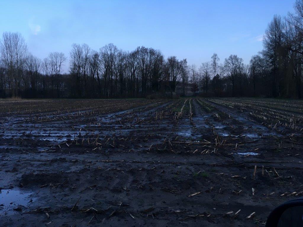 Bekijk foto 4 van Ollandseweg