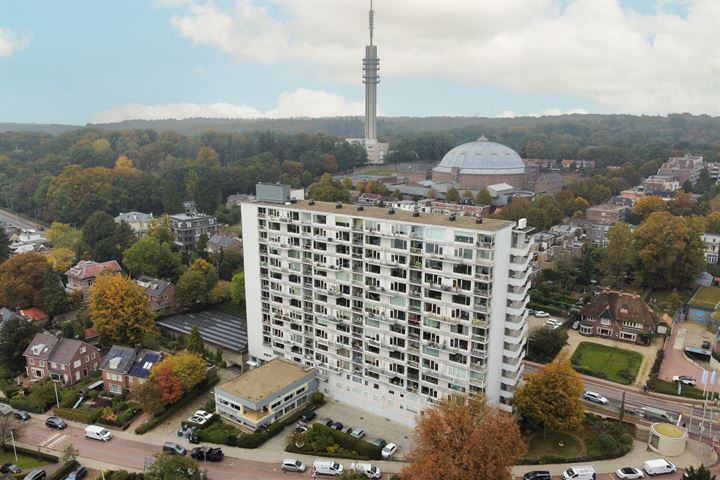 Bekijk foto 39 van Utrechtseweg 145-55