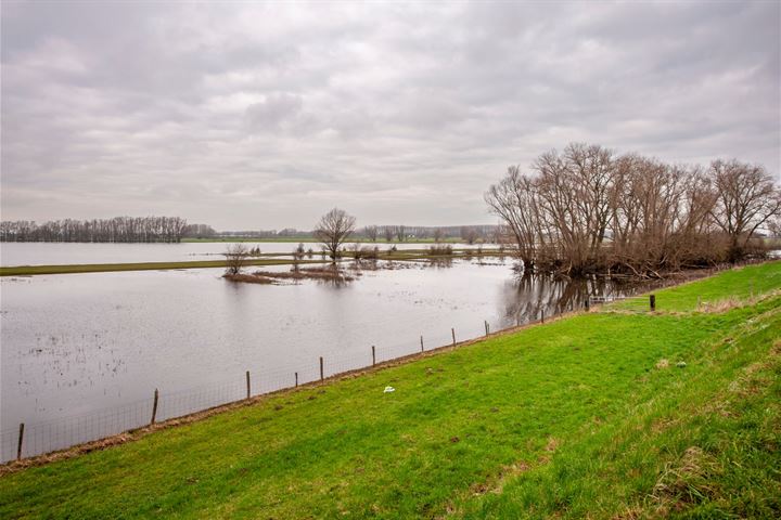 Bekijk foto 49 van Maasdijk 146