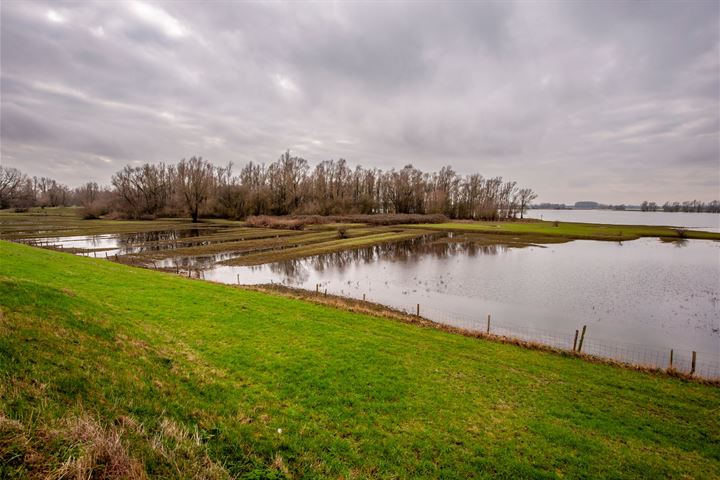 Bekijk foto 50 van Maasdijk 146