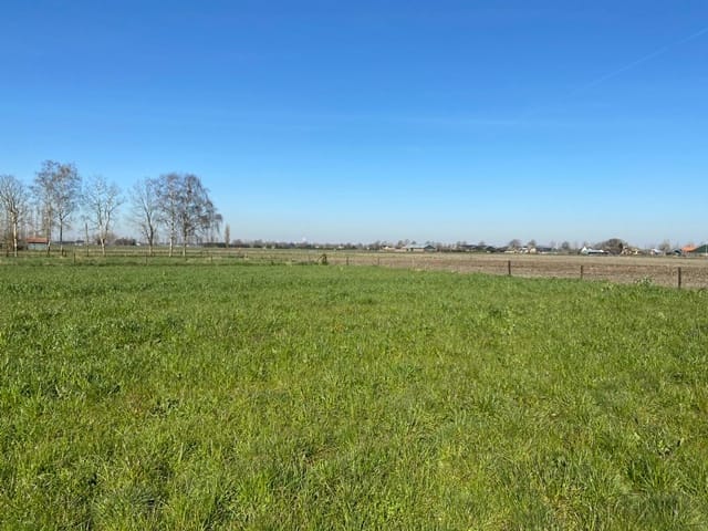 Foto 14 van Erasstraat