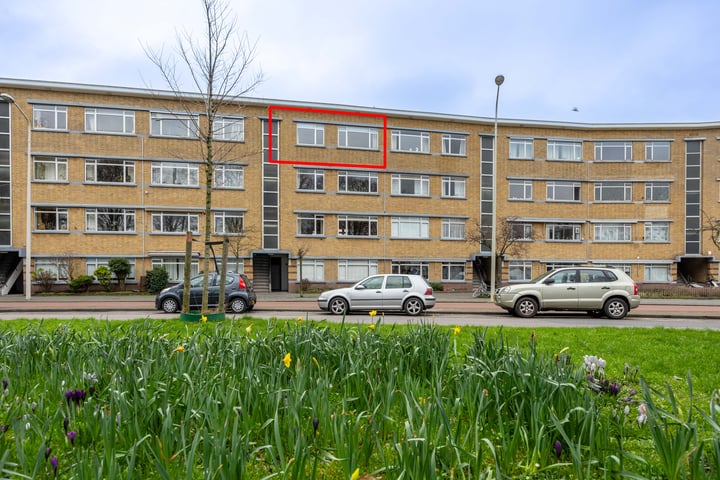 Bekijk foto 3 van Monnickendamplein 25