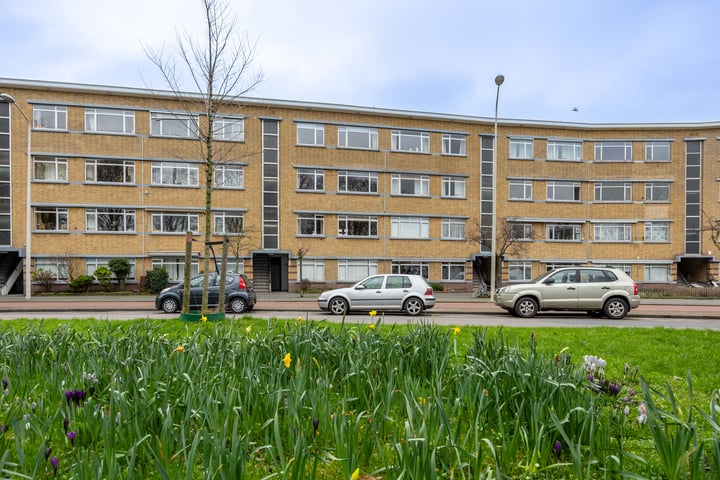 Bekijk foto 2 van Monnickendamplein 25
