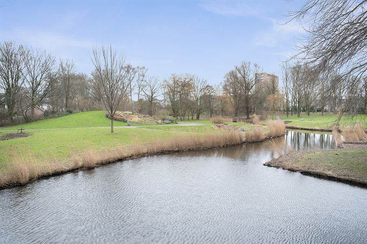 Bekijk foto 47 van Stadhoudersring 138