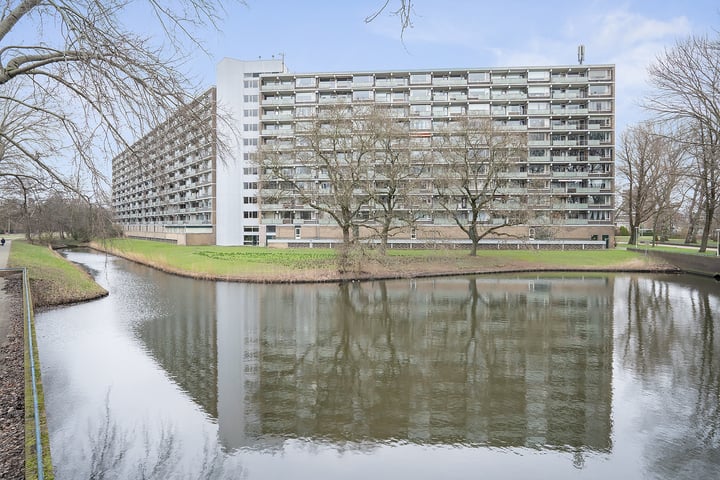 Bekijk foto 48 van Stadhoudersring 138