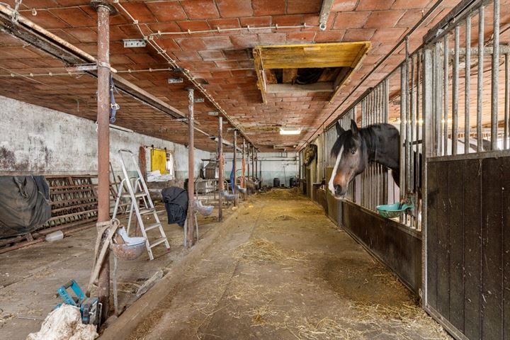 Bekijk foto 15 van Hoendiep Noordzijde 8