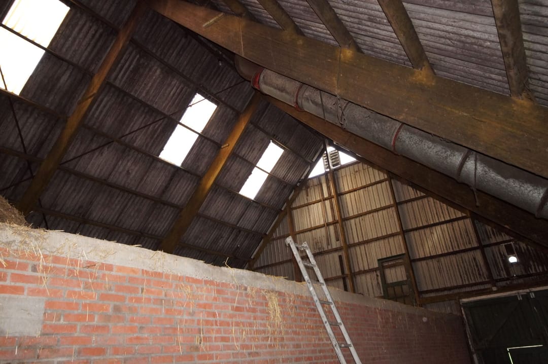 Foto 17 van Hoendiep Noordzijde 8