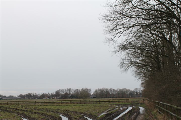 Grond nabij Roekelse Zandweg, Wekerom