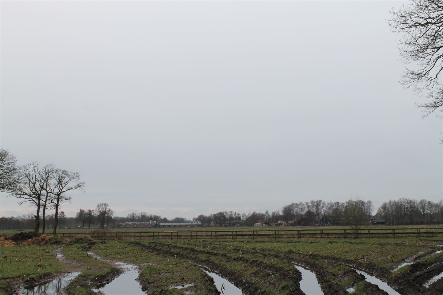 Bekijk foto 3 van Grond nabij Roekelse Zandweg