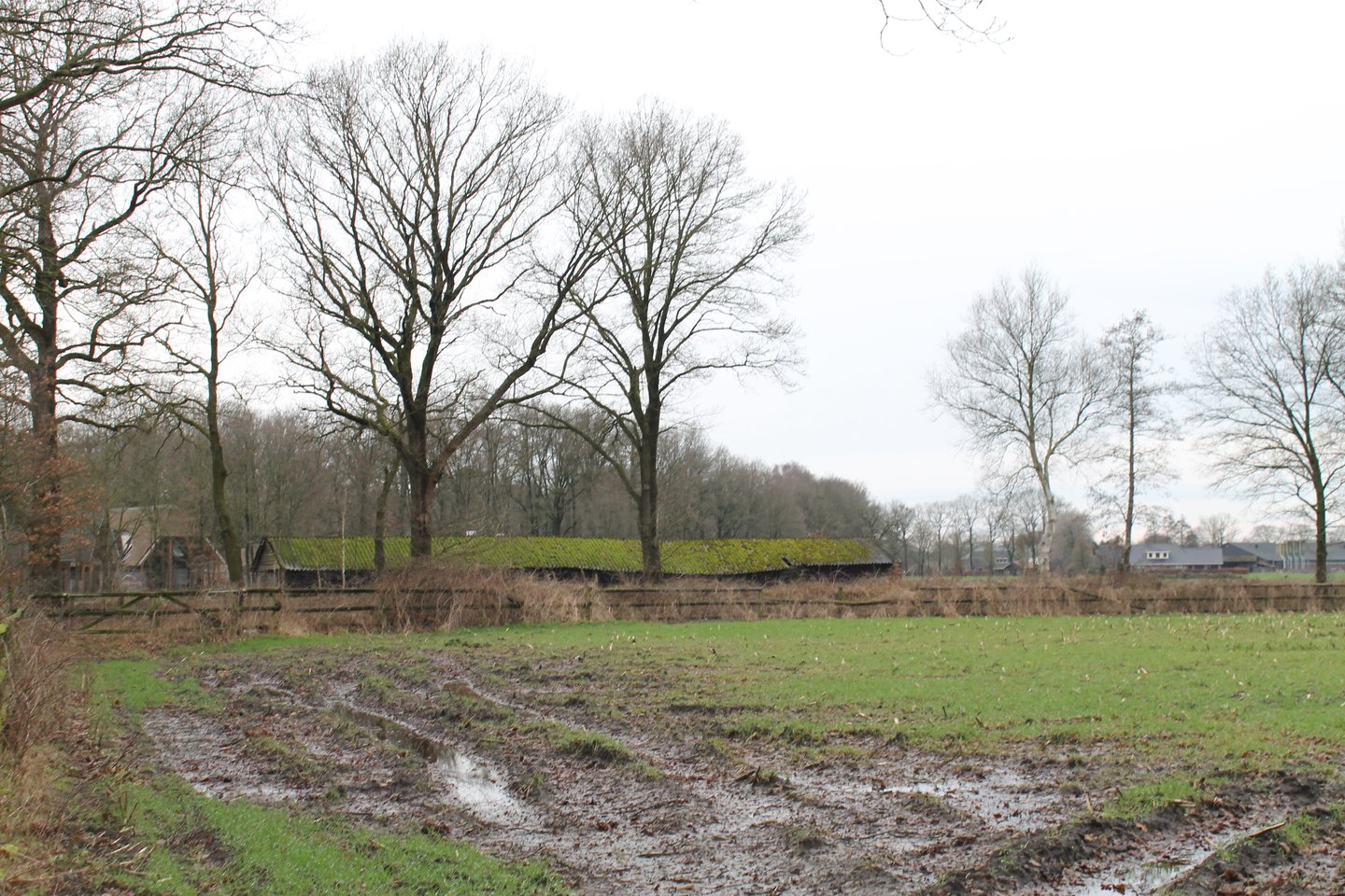 Bekijk foto 2 van Grond nabij Roekelse Zandweg