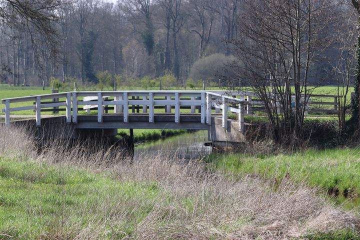 Bekijk foto 40 van Dennenlaan 1