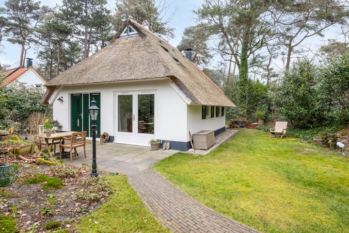 Foto 1 van De Witte Bergen 57