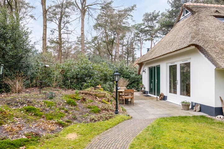 Foto 31 van De Witte Bergen 57