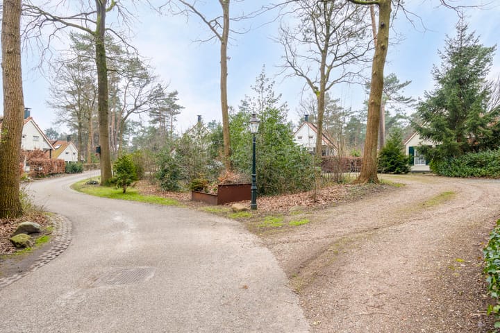 Foto 36 van De Witte Bergen 57