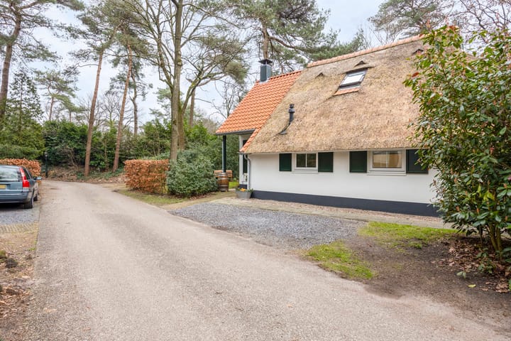 Foto 38 van De Witte Bergen 57