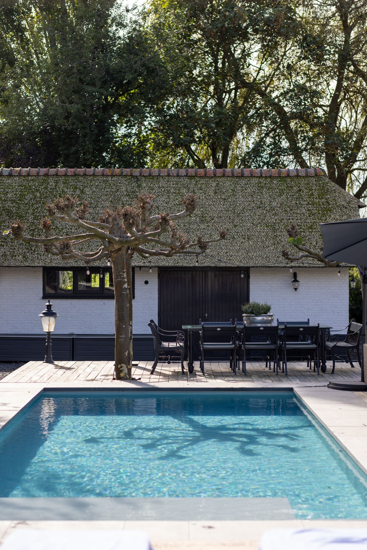 Foto 44 van Rodenrijseweg 527-D