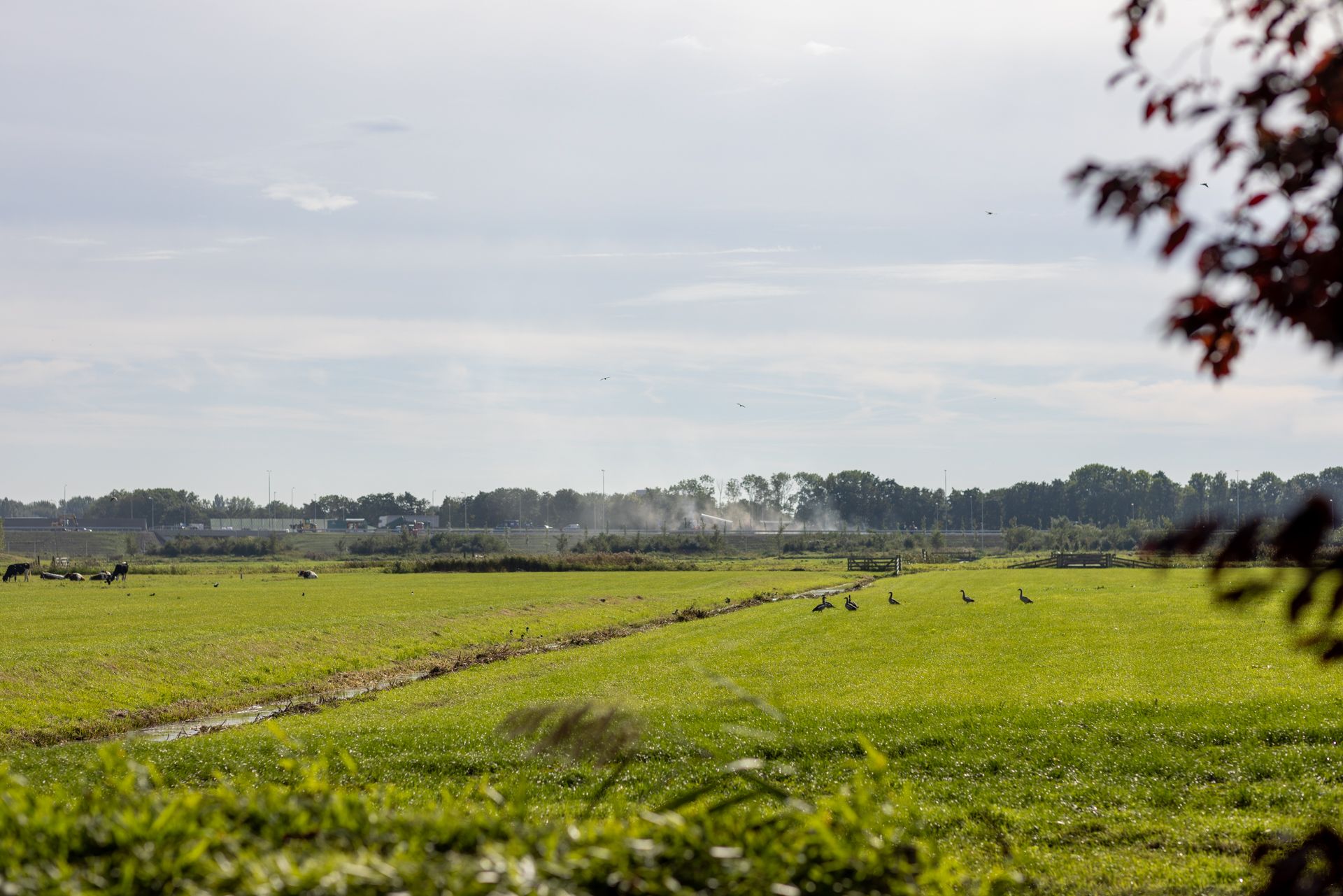 Foto 60 van Rodenrijseweg 527-D