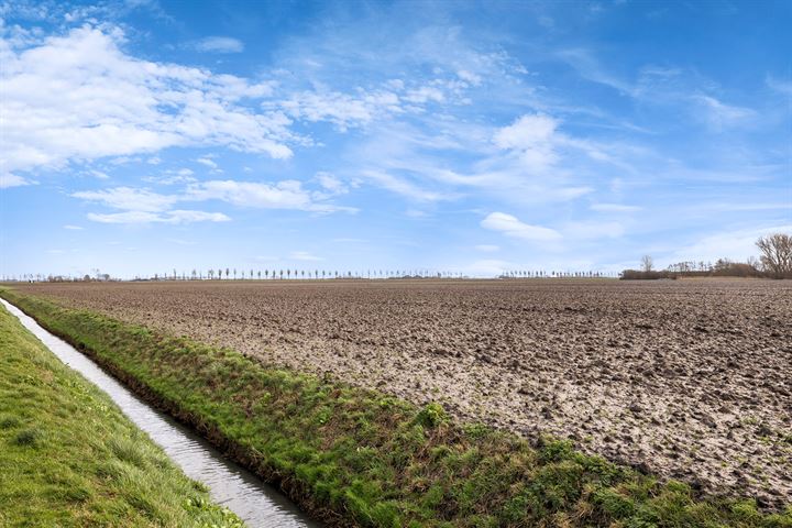 Bekijk foto 37 van Essenlaan 66