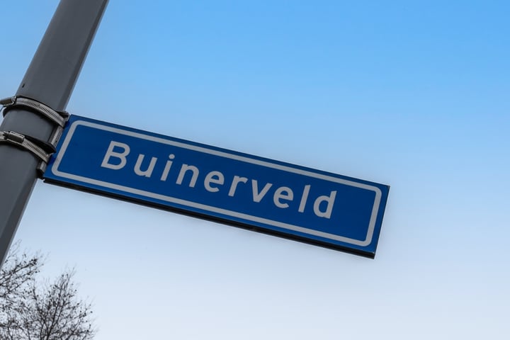 Bekijk foto 2 van Buinerveld 16