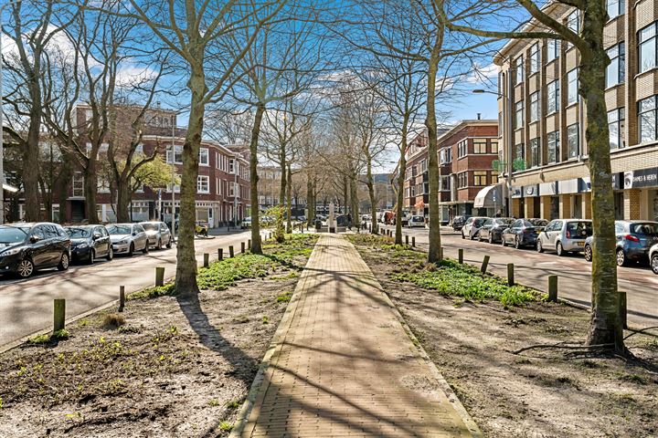 Bekijk foto 40 van Abrikozenstraat 113