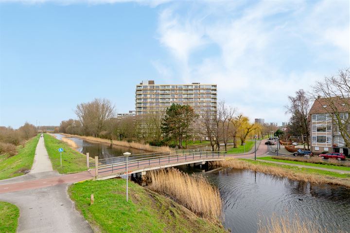 Bekijk foto 32 van Tobias Asserlaan 126